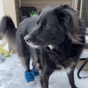 Meet your Posher, Savannah